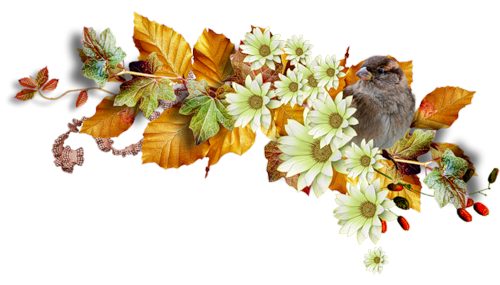 őszi állatok_168.png